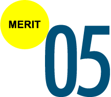 MERIT 5